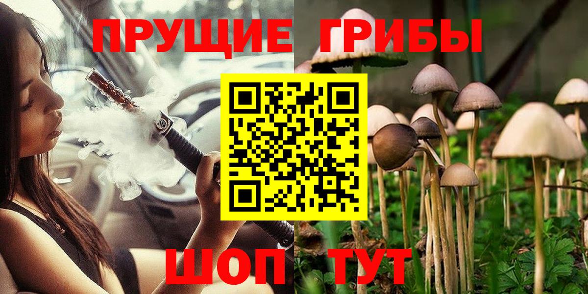 Кимовск  Галлюциногенные грибы MAGIC MUSHROOMS  Вход с VPN 